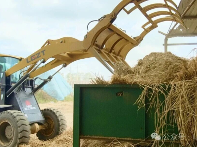 Manipulateur de balles
