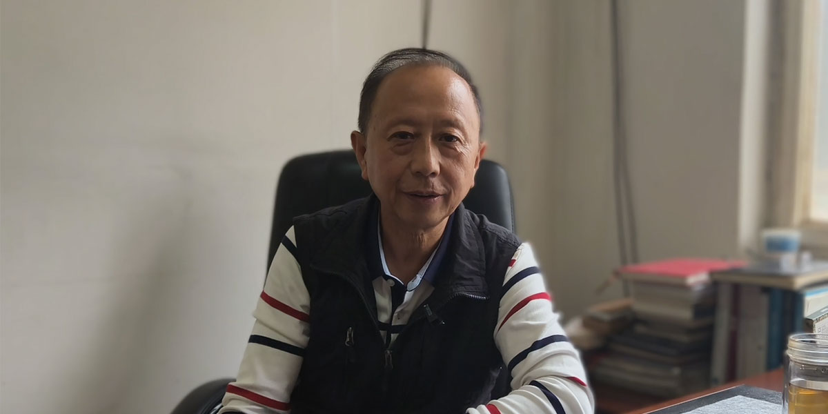 Máy xúc lật để bán