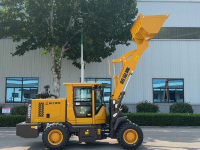 Small Articulated Loader