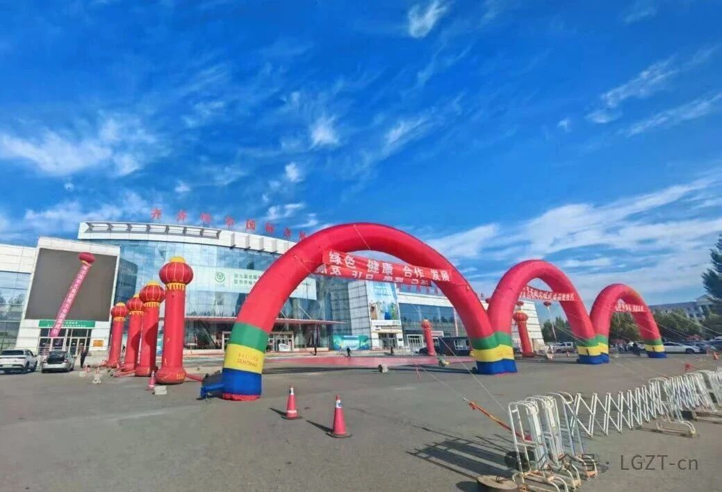 Wheel Loader Wheel Loader