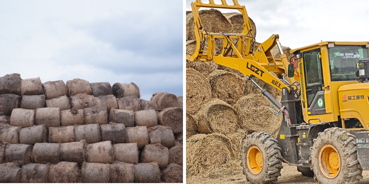 Máy xúc lật bánh lốp nhỏ